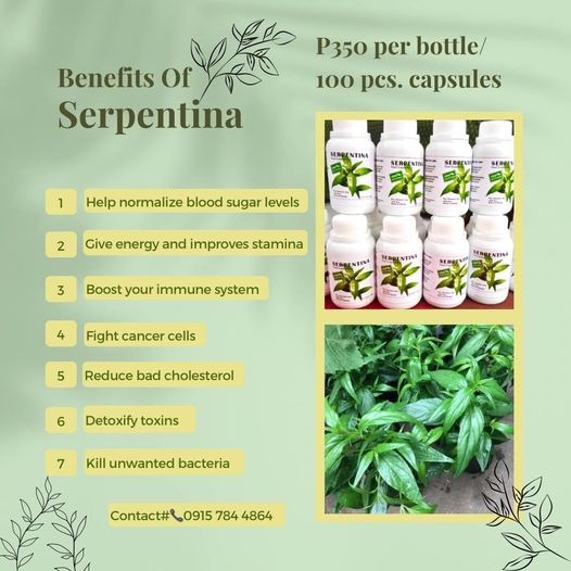 SERPENTINA HERBAL FOOD SUPPLEMENT CAPSULE  500 mg 100 capsules /bottle